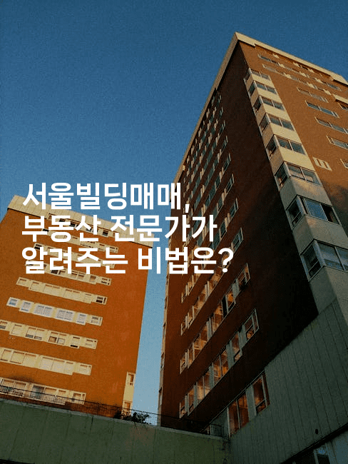 서울빌딩매매, 부동산 전문가가 알려주는 비법은?-부동부동
