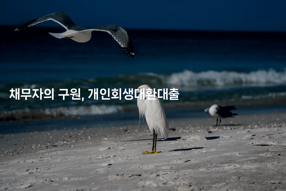 채무자의 구원, 개인회생대환대출-부동부동