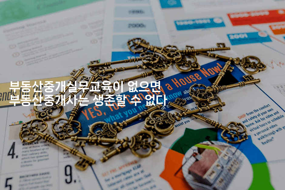 부동산중개실무교육이 없으면 부동산중개사는 생존할 수 없다 2-부동부동