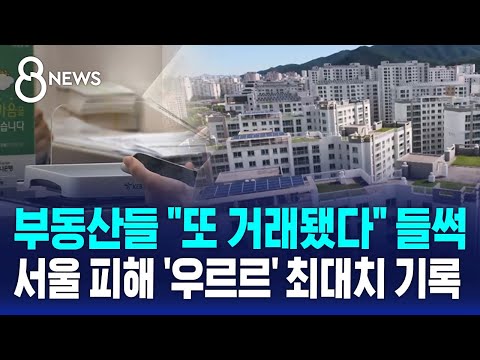 부동산들 "또 거래됐다" 들썩…서울 피해 '우르르' 최대치 기록 / SBS 8뉴스