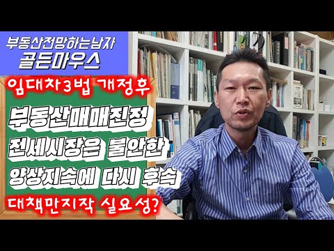 임대차법개정후 부동산시장 동향 매매시장 진정 전세시장 들썩, 후속대책 다시 만지작