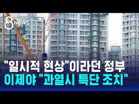 정부 "과열시 특단 조치"…다음달 공급 대책 발표 / SBS 8뉴스