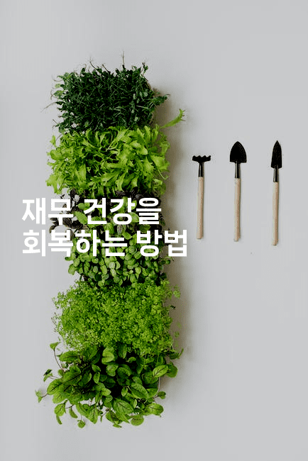 재무 건강을 회복하는 방법-부동부동