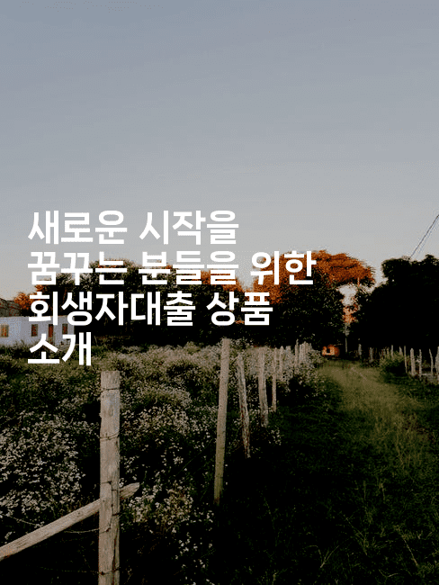 새로운 시작을 꿈꾸는 분들을 위한 회생자대출 상품 소개