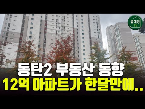 동탄2 부동산 동향 및 전망, 12억 아파트가 한달만에....