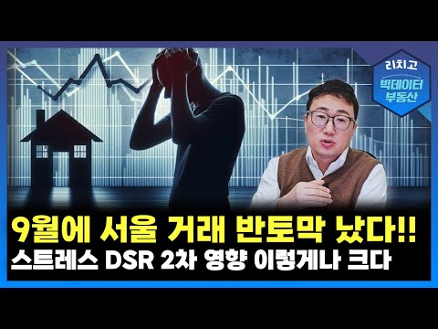 서울 아파트 거래 절반 급감, DSR 2차 충격! - 부동산 시장의 대변화: DSR2차가 남긴 흔적┃아파트, APT