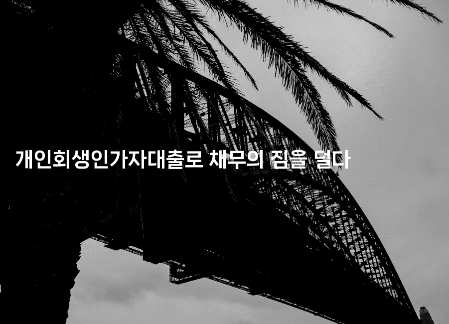 개인회생인가자대출로 채무의 짐을 덜다-부동부동