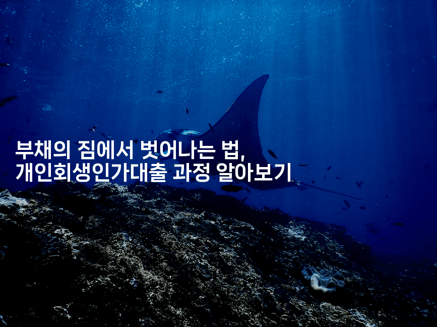 부채의 짐에서 벗어나는 법, 개인회생인가대출 과정 알아보기-부동부동