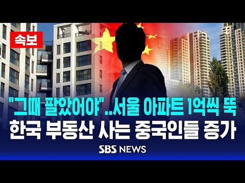 [속보] '얼죽신'도 부동산 한파에 휘청..한국서 집 사는 중국인 늘었다 / SBS