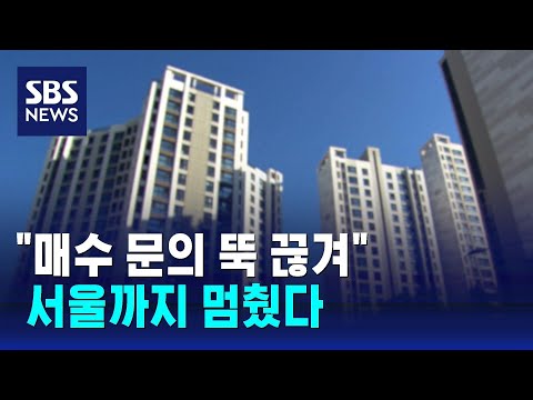 "매수 문의 뚝 끊겨"…서울까지 상승 멈췄다 / SBS