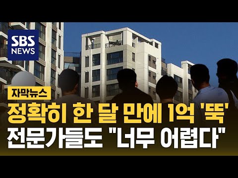 서울 아파트 한 달 만에 1억 '뚝'…전문가들도 "너무 어렵다" (자막뉴스) / SBS