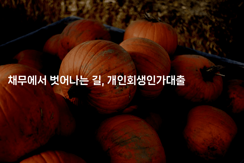 채무에서 벗어나는 길, 개인회생인가대출