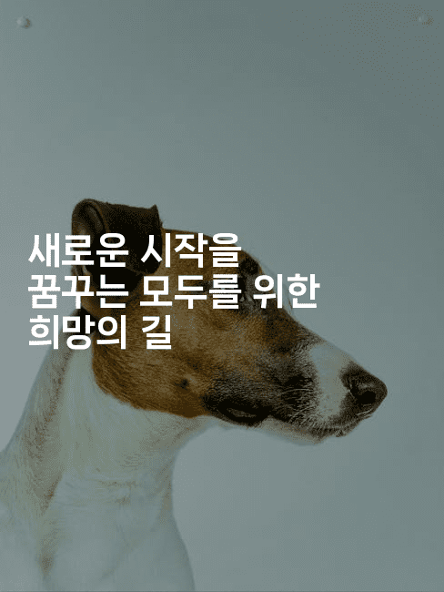 새로운 시작을 꿈꾸는 모두를 위한 희망의 길-부동부동